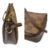 Louis Vuitton Damier Ebene Truth Bag