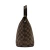 Louis Vuitton Saleya PM Damier