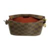 Louis Vuitton Damier Ebene Truth Bag