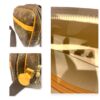 Louis Vuitton Monogram Reporter PM Bag
