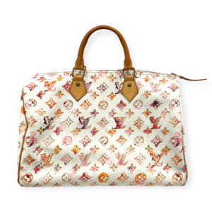 Louis Vuitton 35 Speedy Watercolour Limited Edition Bag