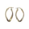 Earrings in 10K Yellow Gold
