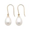 Earrings In 9K Yellow Gold