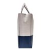 Celine Small Vertical Bi-Cabas Calfskin Leather Bag