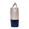 Celine Small Vertical Bi-Cabas Calfskin Leather Bag