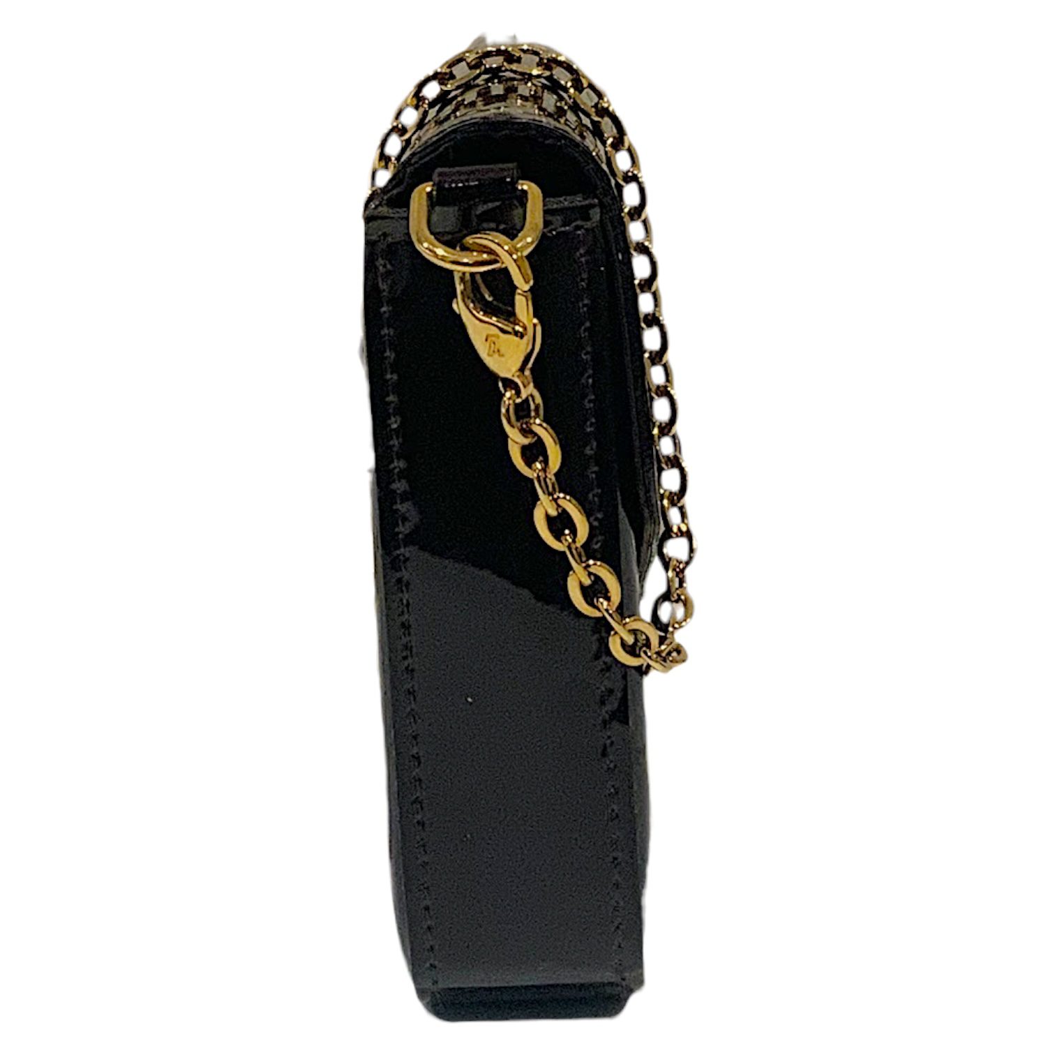 Photoroom_002_20260914_135003 Louis Vuitton Vernis Monogram Felicie Pochette Bag