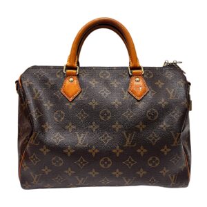 Louis Vuitton Speedy 30 Monogram
